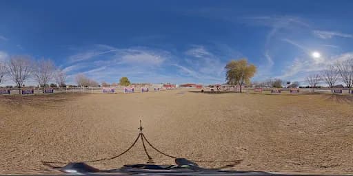 Arizona Goat Yoga - Goat Yoga in Gilbert, Arizona