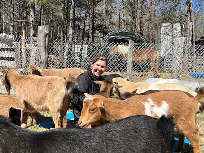 Avery Family Farm - Goat Yoga in Durham, North Carolina