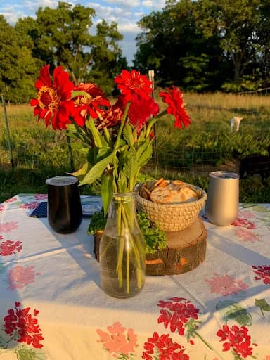 Bluebird Meadow Goat Yoga LLC - Goat Yoga in MI 49301, Michigan