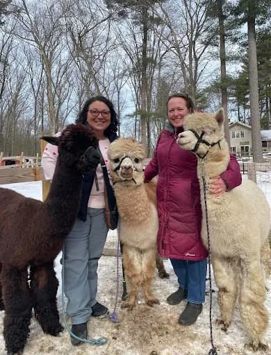 Bracken Hill Farm - Goat Yoga in Northborough, Massachusetts