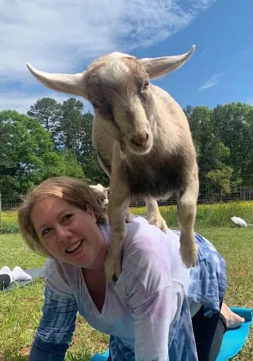 Carolina Goat Yoga & Snuggle Sessions - Goat Yoga in Connelly Springs, North Carolina