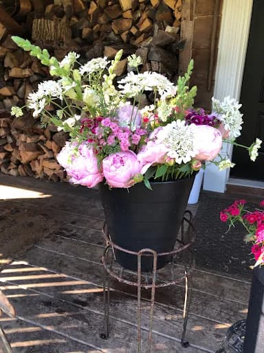 Deer Creek Goat Yoga - Goat Yoga in Glenwood, Illinois