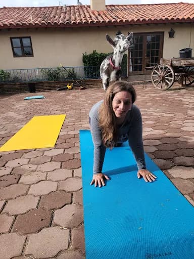 El Paso Goat Yoga - Goat Yoga in Santa Teresa, New Mexico