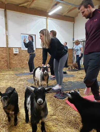 Esham Family Farm - Goat Yoga in Albion, Michigan