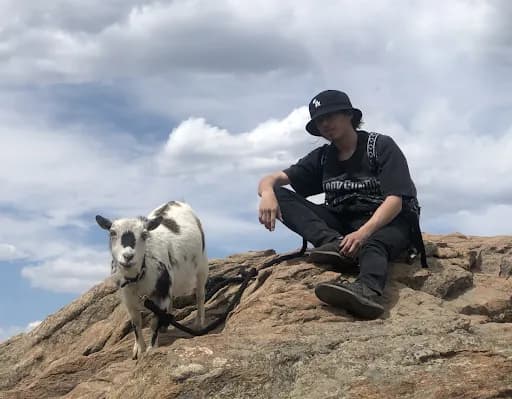Goat Walkabouts - Goat Yoga in Lakewood, Colorado