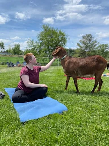 Goat Yoga Chicago - Elgin, Illinois - Goat Yoga in Elgin, Illinois