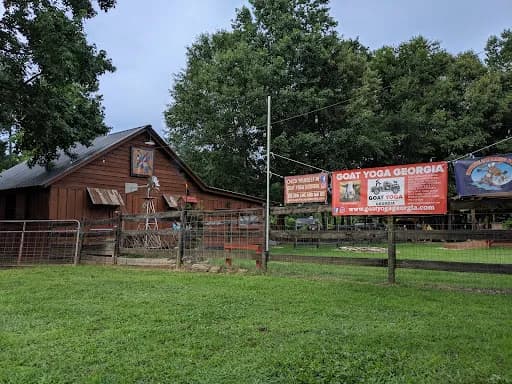 Goat Yoga Georgia - Goat Yoga in Loganville, Georgia