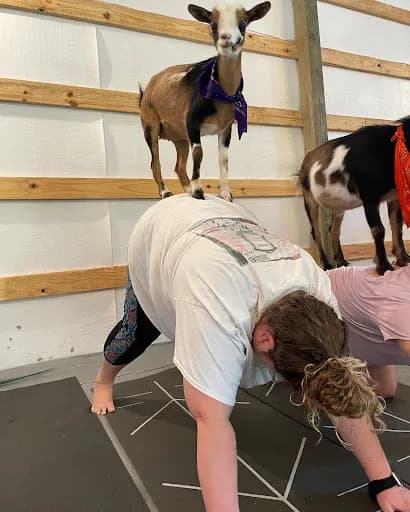 Goat Yoga Nashville - Goat Yoga in Nolensville, Tennessee