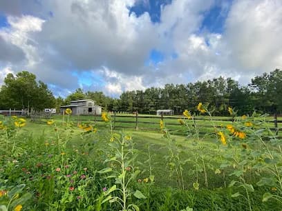 Greenlands Farm, LLC - Goat Yoga in Bolivia, North Carolina