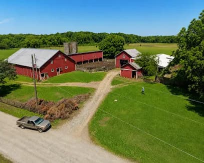 Harrison Farm - Goat Yoga in Groveport, Ohio