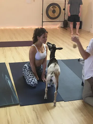 Laughing Frog Yoga - Goat Yoga in Los Angeles, California