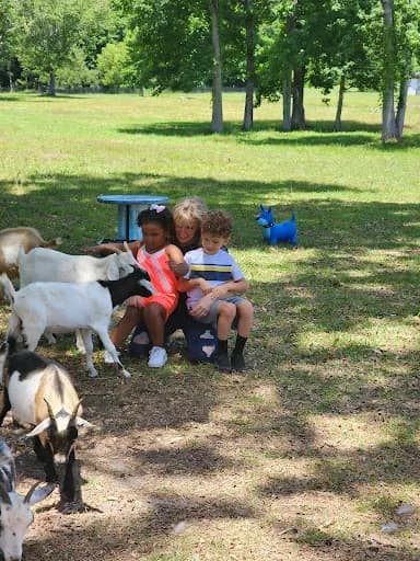 Lazy Day Farm - Goat Yoga in NC 28539, North Carolina