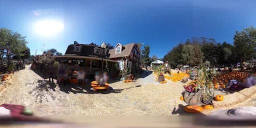 Lemos Farm - Goat Yoga in Half Moon Bay, California