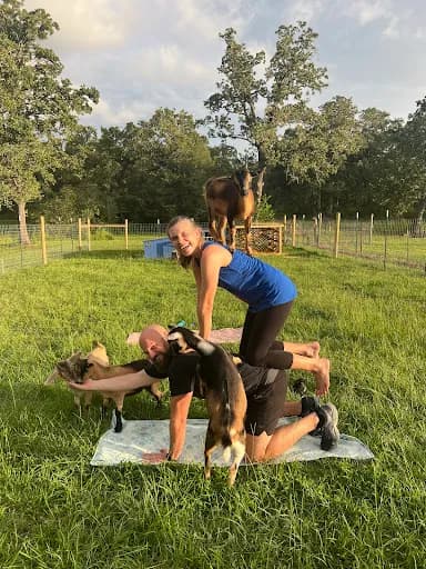 LTD Farms - Goat Yoga & Alpaca Pilates - College Station Area - Goat Yoga in TX 77830, Texas
