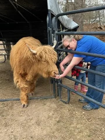 Redbird Willow Farm - Goat Yoga in Anniston, Alabama