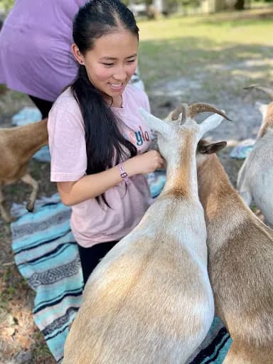 The Cloven Hoof Goat Yoga - Goat Yoga in FL 33810, Florida