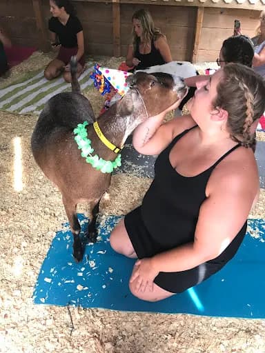 Yoga On The Farm Holly - Goat Yoga in Holly, Michigan