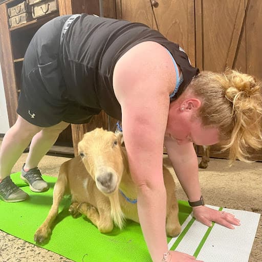 Bradley Mountain Farm