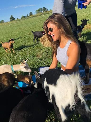 Goat Yoga of Missouri - Goat Yoga in Columbia, Missouri