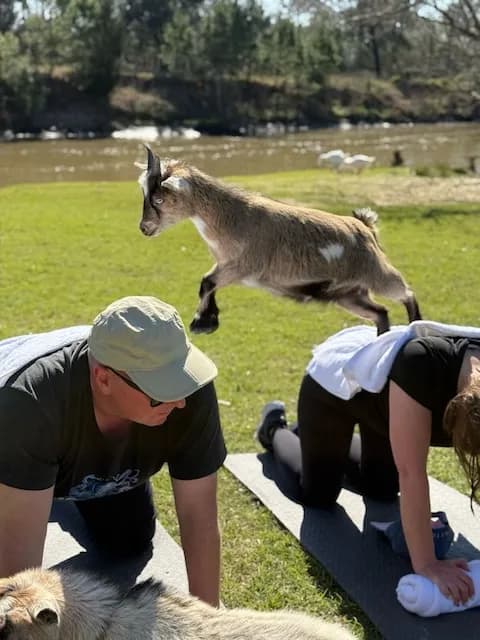 Goats on the Bayou Farm LLC photo 1