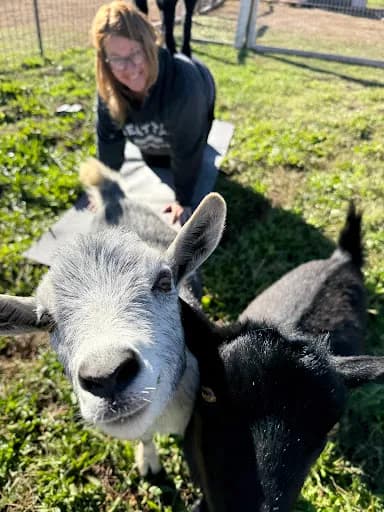 Inner Peas Farm - Goat Yoga - Goat Yoga in UT 84737, Utah