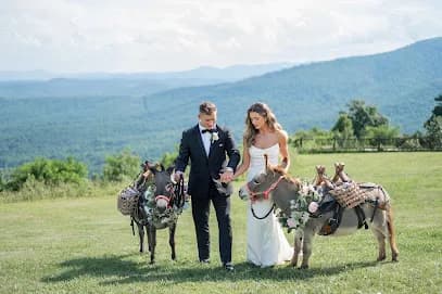 V & B Experience - Goat Yoga in Purlear, North Carolina